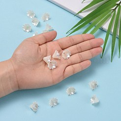 Multi-pétale fleur abs plastique imitation perle chapeaux de perles&nbsp;OACR-R016-25