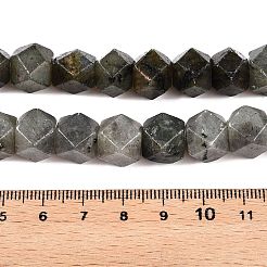 Perline labradorite naturale fili&nbsp;G-T138-37