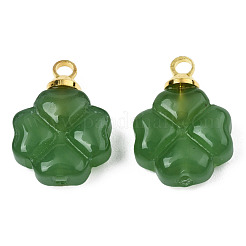 Glas Anhänger / charms&nbsp;GLAA-N036-02A