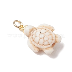 Pendentifs en turquoise synthétique teints&nbsp;PALLOY-JF05075-02
