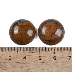 Natürliche Tigereisen-Cabochons&nbsp;G-T020-18mm-31