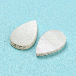 Cabochoni naturali di shell marini&nbsp;SHEL-D079-11