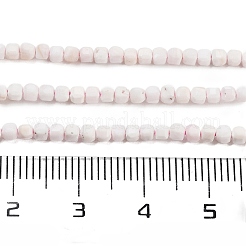 Natürlichen Muschel Perlen Stränge&nbsp;G-H042-B33-01