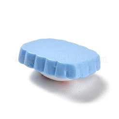 Cabochons di opaco resina&nbsp;RESI-Z012-02C
