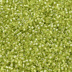 Miyuki Delica Perlen&nbsp;SEED-MY11-DB0147