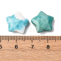 Natürliche howlite Anhänger / charms&nbsp;G-H241-04E