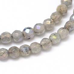 Natur galvanisieren Labradorit runde Perle Stränge&nbsp;G-O094-04-4mm