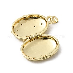 Messing Micro Pave klare Zirkonia Medaillon Anhänger&nbsp;X-KK-L262-07G