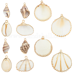 12 pendentif coquillage électrolytique de 6 styles et 30 breloques en plastique ABS imitation perle&nbsp;SSHEL-BBC0001-06