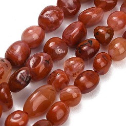 Brins de perles d'agate rouge naturelle (teintes et chauffées)&nbsp;G-C287-A01-01