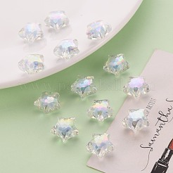 Perles en acrylique transparente&nbsp;TACR-S152-02D-SS2113