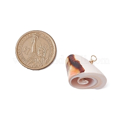 Natürliche Shiva Augenmuschel Anhänger&nbsp;PALLOY-JF02952