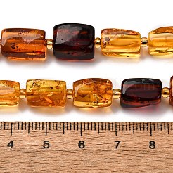 Brins de perles d'ambre naturel de couleur dégradée&nbsp;G-F803-D01-03