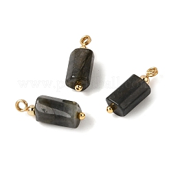 Pendentifs en larvikite naturelle&nbsp;GG-CBACE45-02G-04