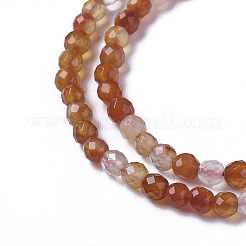 Chapelets de perles rouges en agate naturelle&nbsp;G-F596-35-2mm