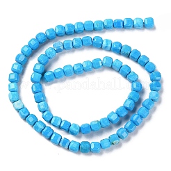Fili di perline howlite naturale&nbsp;G-G001-A01-01