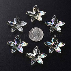 Perles en acrylique transparente&nbsp;MACR-S373-102-C06