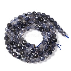 Naturperlen Stränge iolite&nbsp;G-G139-A11-03