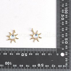 4pcs 2 Farben Glasanhänger&nbsp;GLAA-SZ0001-91