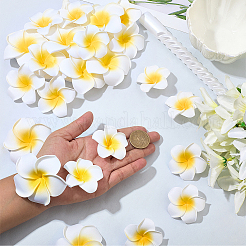 30 Stück 3 Stile Schaumstoff künstliche Frangipani-Blüte Alligator Haarspangen&nbsp;PHAR-SP0001-23A