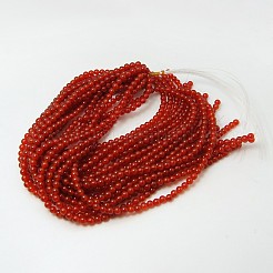 Chapelets de perles en cornaline naturelle&nbsp;X-G-G338-6mm-01