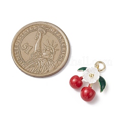 Pendentifs d'émail en alliage&nbsp;PALLOY-JF04429