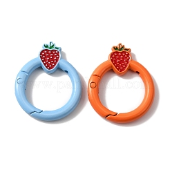 Anillos de puerta de resorte de aleación pintados con spray&nbsp;PALLOY-R141-04