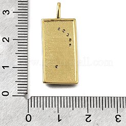 Messing Mikro ebnen Zirkonia Anhänger&nbsp;X-KK-S523-09G
