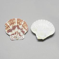 Muschel große Anhänger&nbsp;SSHEL-Q299-003