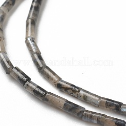 Fili di perline di larvikite naturale&nbsp;G-B004-A16