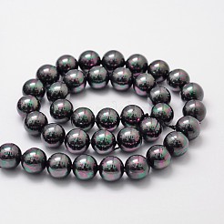 Shell-Perle Perle Stränge&nbsp;BSHE-L025-05-8mm