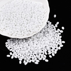 Backlack Glasperlen&nbsp;SEED-T006-03A