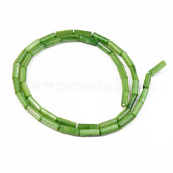 Filo di perline di conchiglia d'acqua dolce naturale&nbsp;SHEL-T017-40A