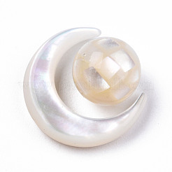 Set di perline di conchiglia bianco naturale&nbsp;SSHEL-N032-51-B01