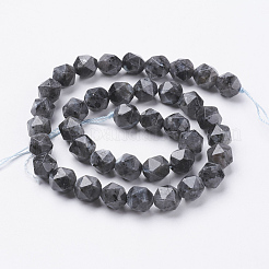 Natürliche schwarze Larvikit-Perlenstränge&nbsp;G-J376-47A-10mm