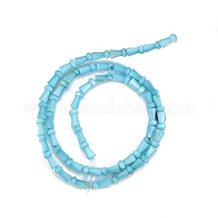 Natürlichen Süßwasser-Muschelperlen Stränge&nbsp;SHEL-G013-02C