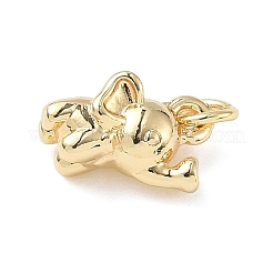 Messing Charme&nbsp;ZIRC-I356-04G-01