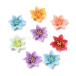 Undurchsichtige Reisn-Cabochons&nbsp;RESI-L050-03A