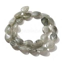 Natur Labradorit Perlen Stränge&nbsp;G-P561-B05-01