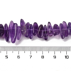 Natürlichen Amethyst Perlen Stränge&nbsp;G-K220-04-01
