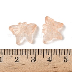 Perles en verre&nbsp;GLAA-C039-01C