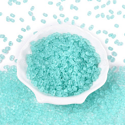 Perline di vetro trasparente satinato fgb&nbsp;SEED-N013-06A-10
