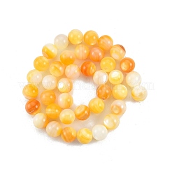 Fili di perline di conchiglia giallo dorato naturale&nbsp;SSHEL-G024-01E