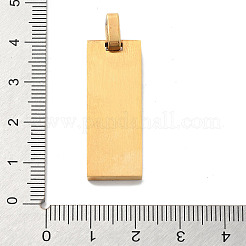 Pendentifs en acier inoxydable 304 avec placage ionique (IP)&nbsp;STAS-Z098-38G