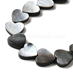 Natur schwarz Lippe Shell Perlen Stränge&nbsp;BSHE-D300-06A