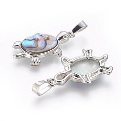 Abalone Muschel / Paua Muschel Anhänger&nbsp;SSHEL-L008-62A