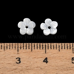 Natürlichen weißen Muschelperlen&nbsp;SH-CBA93AD-07A
