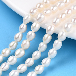 Natural Cultured Freshwater Pearl Beads Strands, Rice, Seashell Color, 6~7x5~5.5mm, Hole: 0.7~0.8mm, about 28~29pcs/strand, 7.09 inch(18cm)
