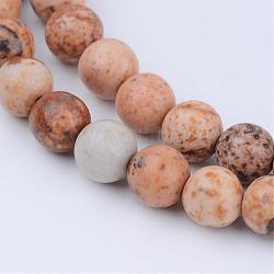 Chapelets de perles en jaspe avec images naturelles, ronde, 8~8.5mm, Trou: 1mm, Environ 47 pcs/chapelet, 15.5 pouce