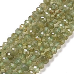 Natural Apatite Beads Strands, Faceted, Rondelle, 4x3mm, Hole: 0.7mm, about 130pcs/strand, 15.35''(39cm)